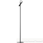 Magneto Floor Lamp