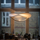 Plena LED Suspension Light