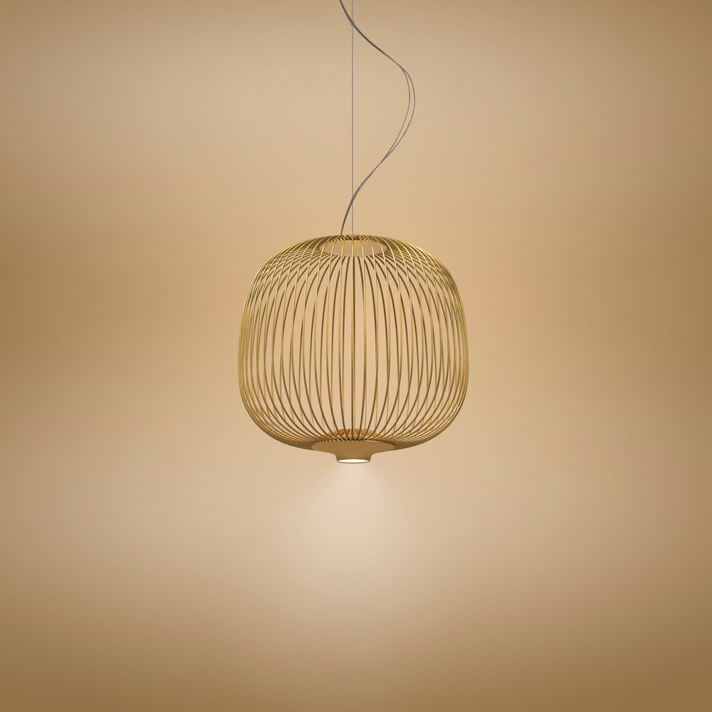 Spokes 2 Pendant Light