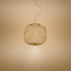 Spokes 2 Small Pendant Light