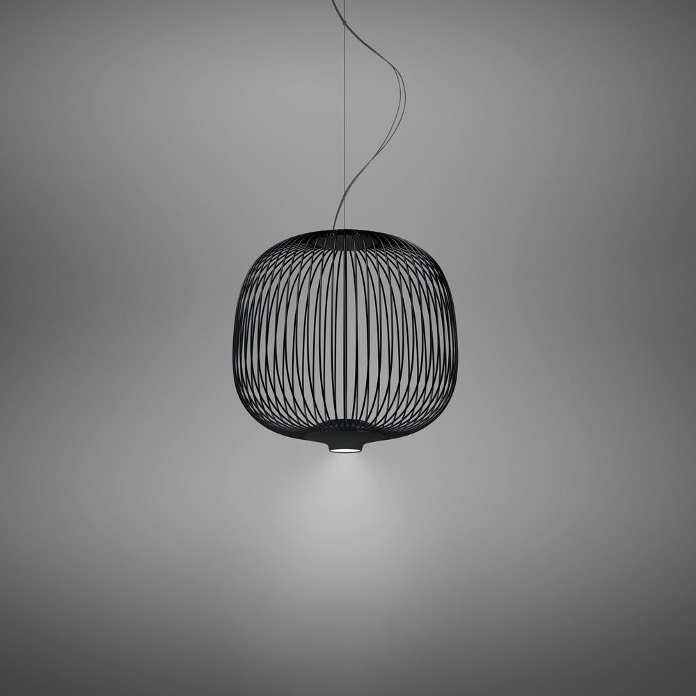 Spokes 2 Pendant Light