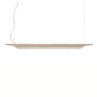 Troag Linear Suspension