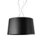 Twice as Twiggy Pendant Light  option Black