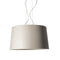 Twice as Twiggy Pendant Light  option Grey