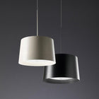 Twice as Twiggy Pendant Light