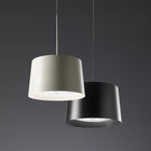 Twiggy Pendant Light