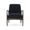 Braden Lounge Chair  option Modern Velvet Shadow / Warm Oak
