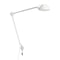 AQ01 Desk Lamp  option Plug-In Lamp