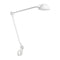 AQ01 Wall Sconce  option White