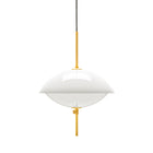 Clam Pendant Light