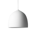 Suspence Pendant Light