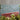 Dreams White Daisy Rug