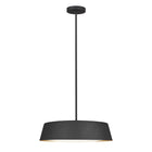 ED Ellen DeGeneres Asher Pendant Light
