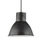 Division Street Pendant Light  option Stardust