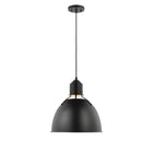 Huey Pendant Light