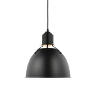 Huey Pendant Light