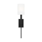 ED Ellen DeGeneres Brianna Tail Wall Sconce