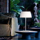 Ginger Table Lamp