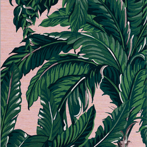 Daintree Palm Wallpaper Sample Swatch
