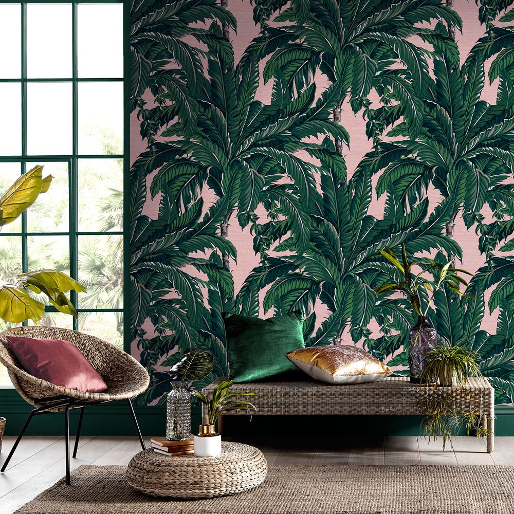 Daintree Palm Wallpaper
