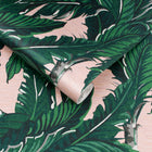 Daintree Palm Wallpaper