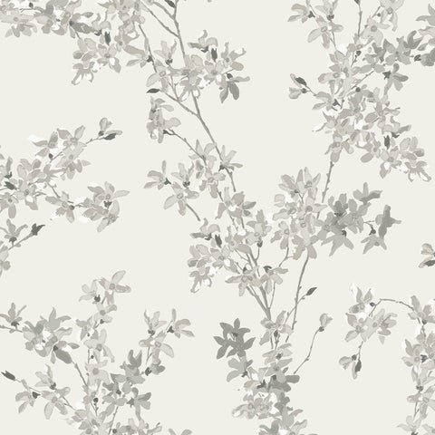 Forsythia Wallpaper