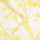 Forsythia Wallpaper
