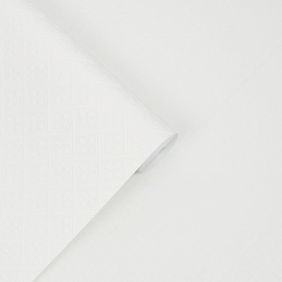 Mr Jones Paintable Wallpaper