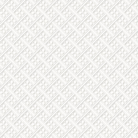 Mr Jones Paintable Wallpaper