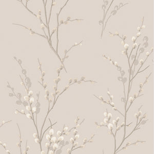 Pussy Willow Wallpaper