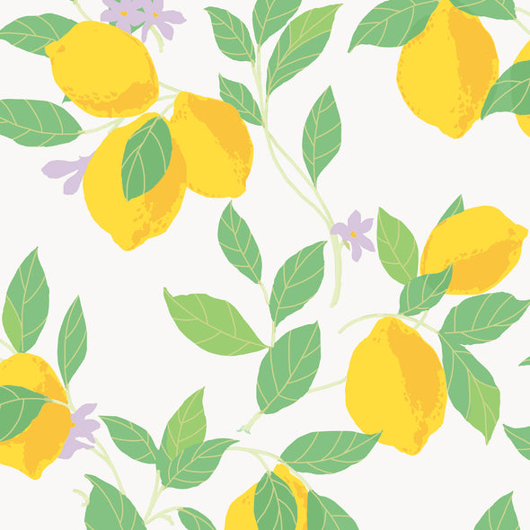 Feeling Fruity Wallpaper Sample Swatch
