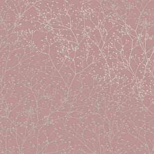 Gypsophila Wallpaper