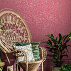Gypsophila Wallpaper