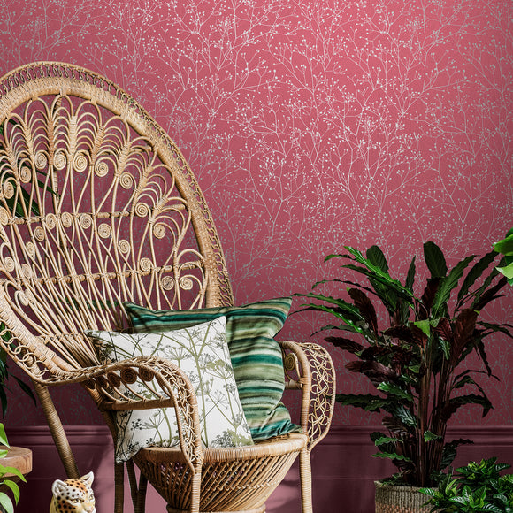 Gypsophila Wallpaper