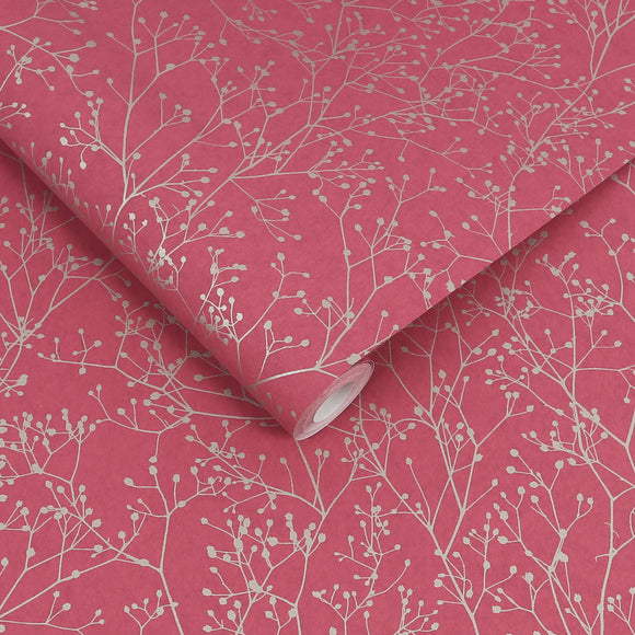 Gypsophila Wallpaper