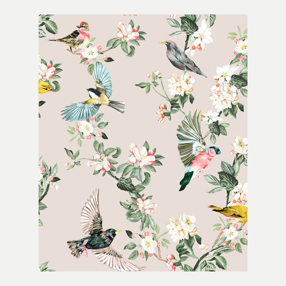 Joules Handford Garden Birds Wallpaper