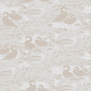 Swans Wallpaper