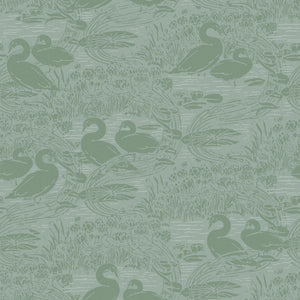 Swans Wallpaper
