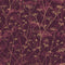 Wild Chervil Wallpaper  option Damson/Gold