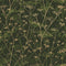 Wild Chervil Wallpaper  option Sage/Gold