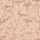 Wild Chervil Wallpaper