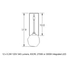 Gem Tempo Wall Sconce