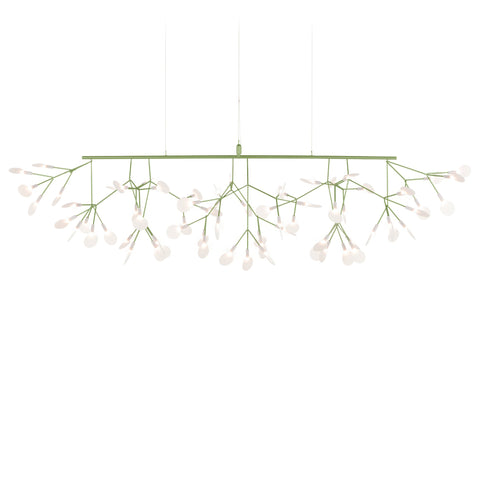 Heracleum III Linear Light