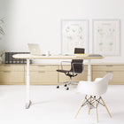 Eames Molded Recycled Plastic Armchair Dowel Base