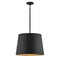 Alder Outdoor Pendant Light  option Black