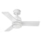 Chet Outdoor LED Ceiling Fan  option Matte White