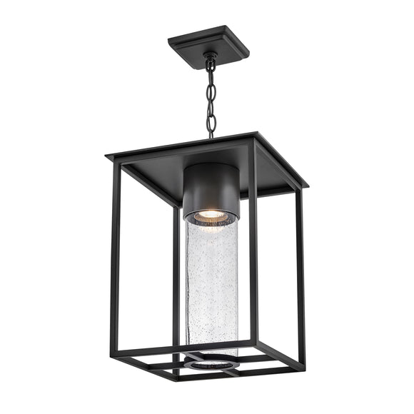 Hinkley Coen Outdoor Pendant Light 2Modern
