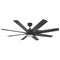 Concur Outdoor LED Ceiling Fan  option Matte Black