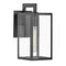 Max Outdoor Wall Light  option Black