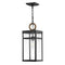 Porter Outdoor Hanging Light  option Black